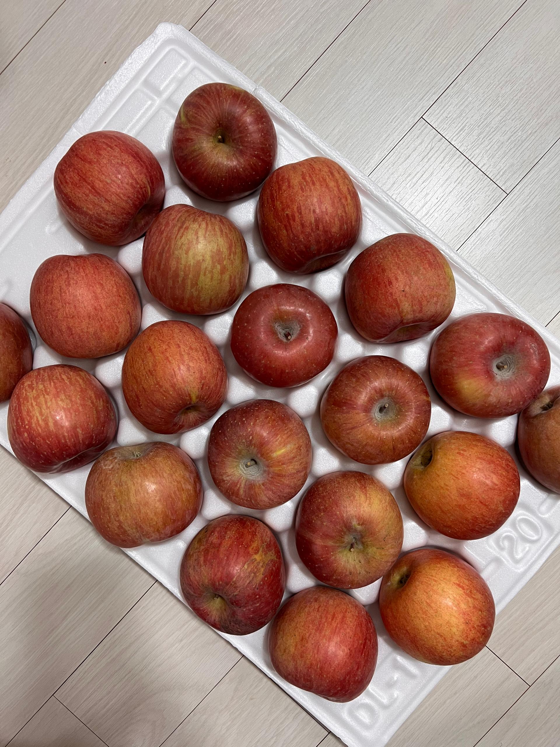 포토후기 이미지