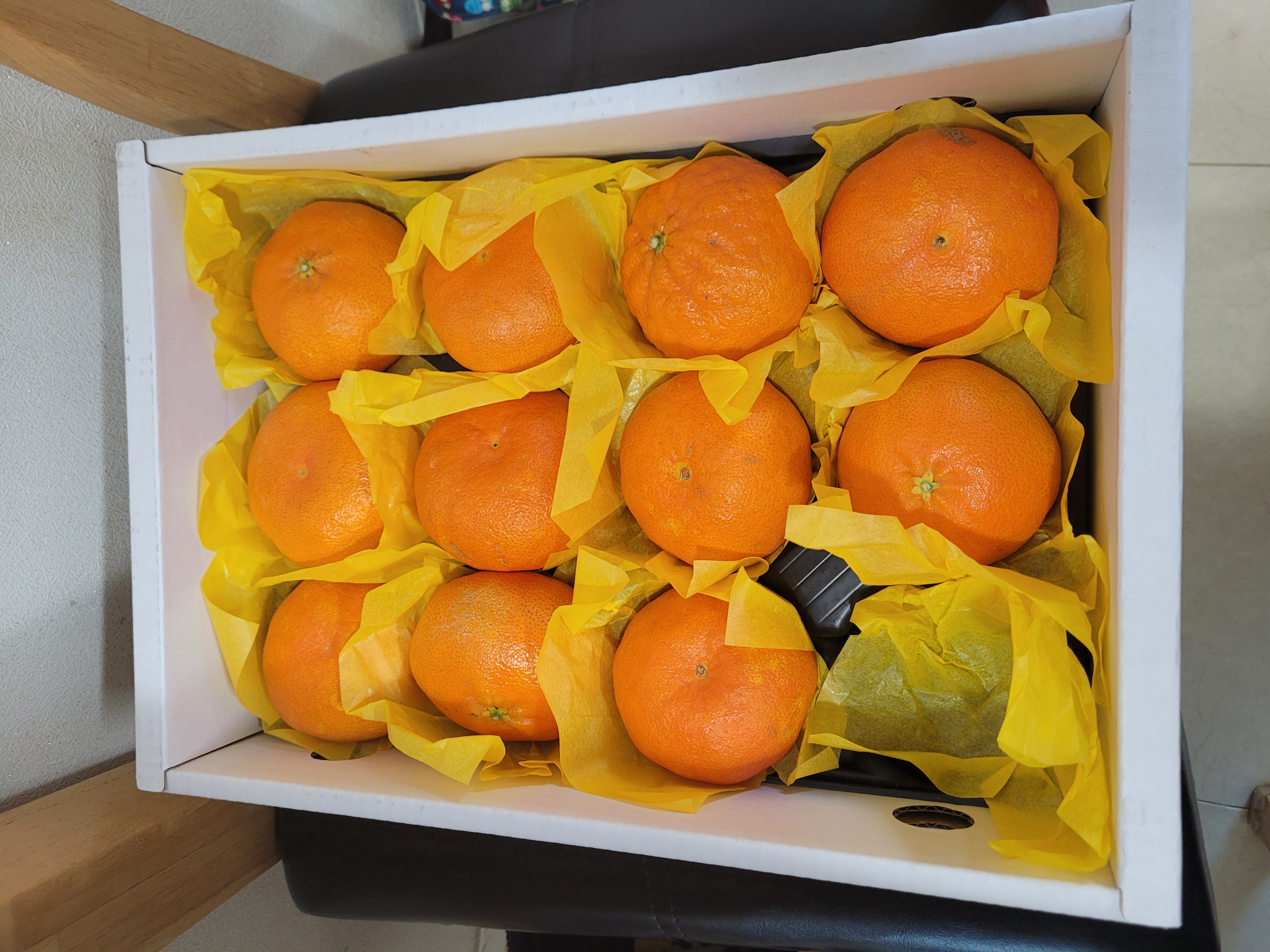 포토후기 이미지