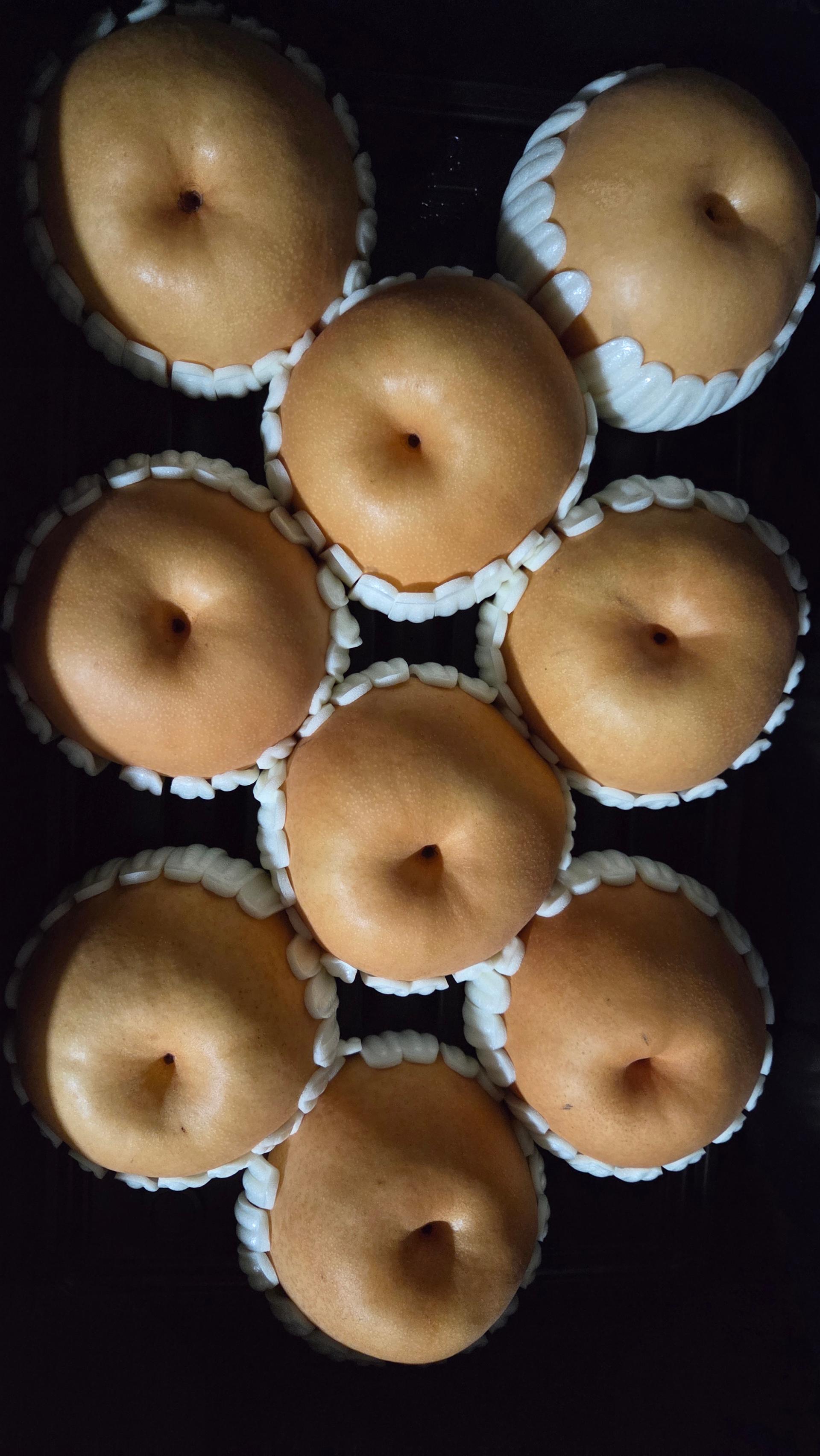 전남 나주 나주배 선물세트 5kg, 7.5kg 이미지