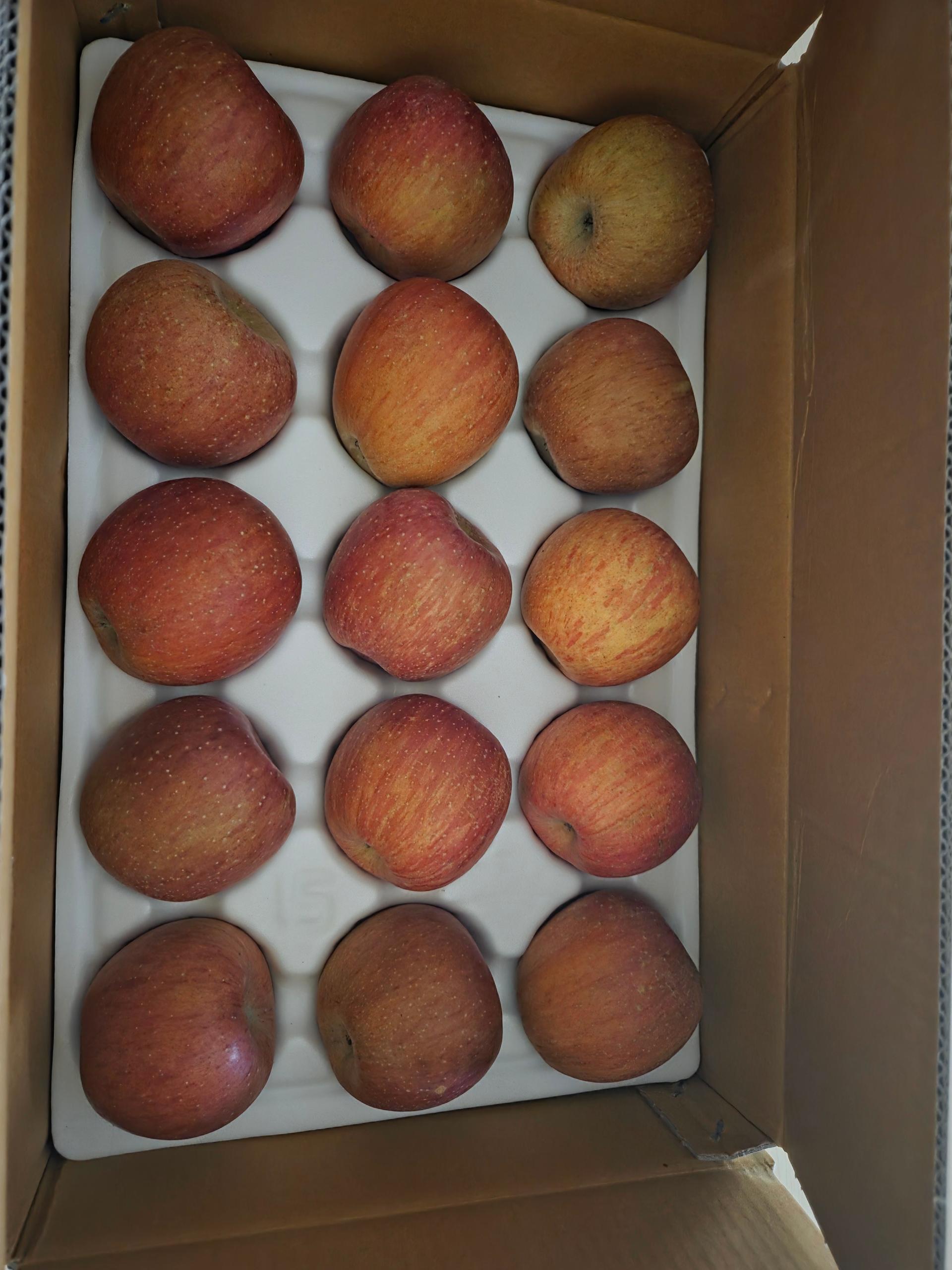 [EVENT] 풍기농협 영주사과 3.5kg + 1kg 추가 증정 이미지