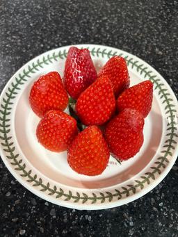 [1000세트 한정/1월19일 순차출고] 논산 킹스베리 900g-3