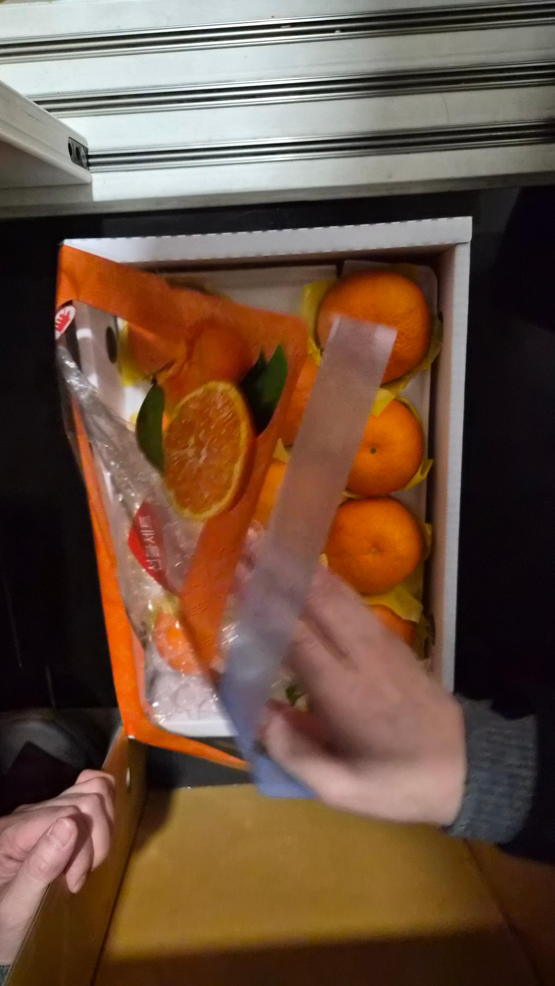 포토후기 이미지