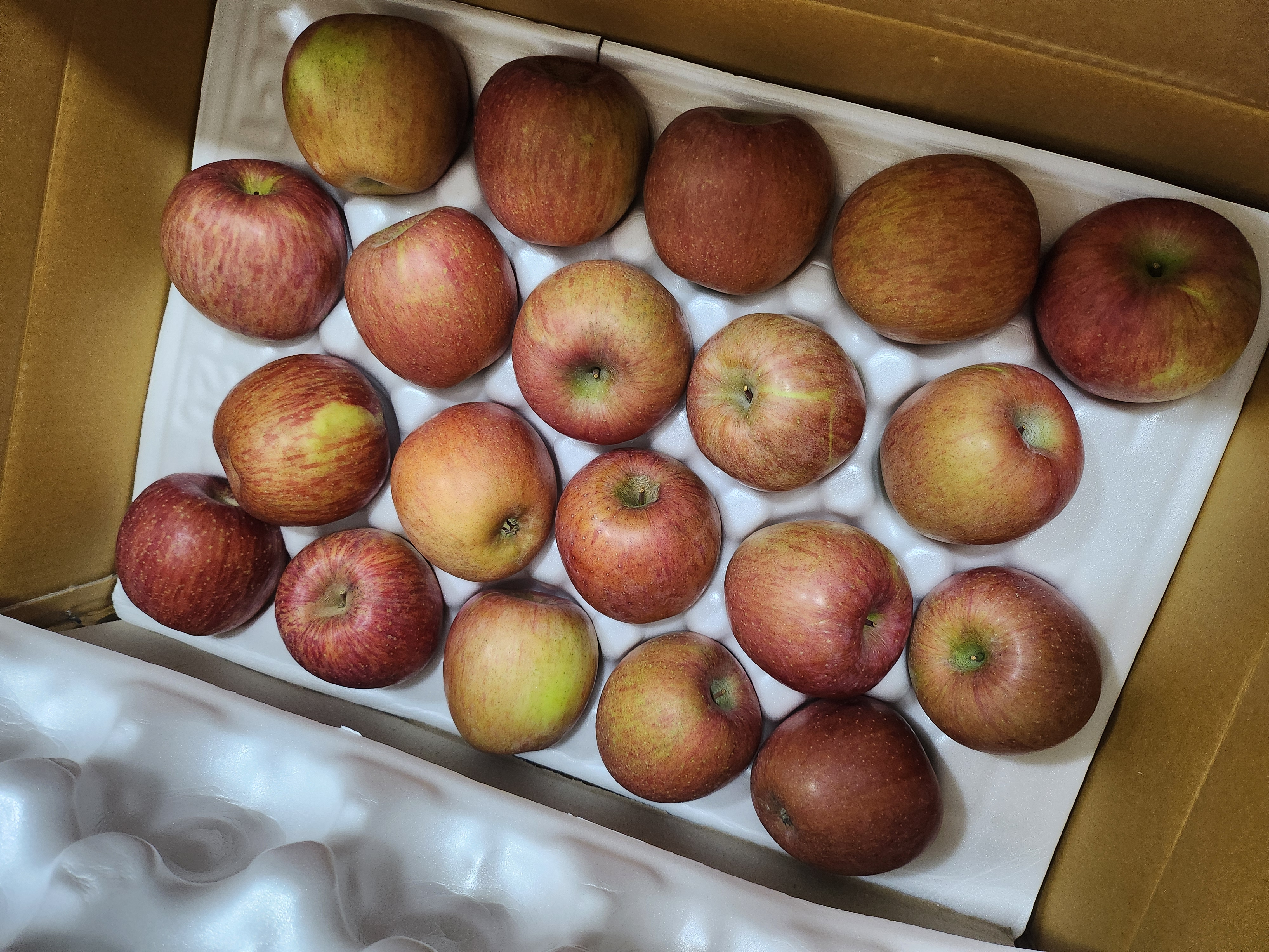 포토후기 이미지