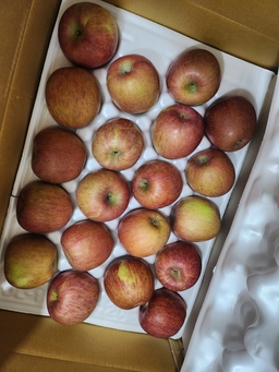 [EVENT] 풍기농협 영주사과 3.5kg + 1kg 추가 증정-1