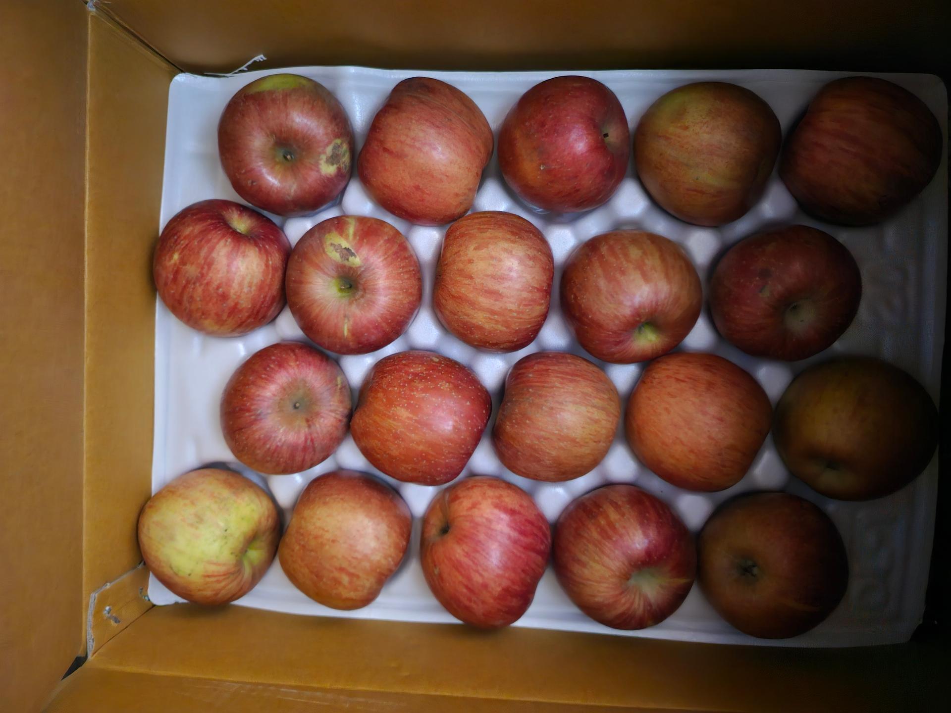 포토후기 이미지