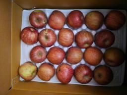 [EVENT] 풍기농협 영주사과 3.5kg + 1kg 추가 증정-1