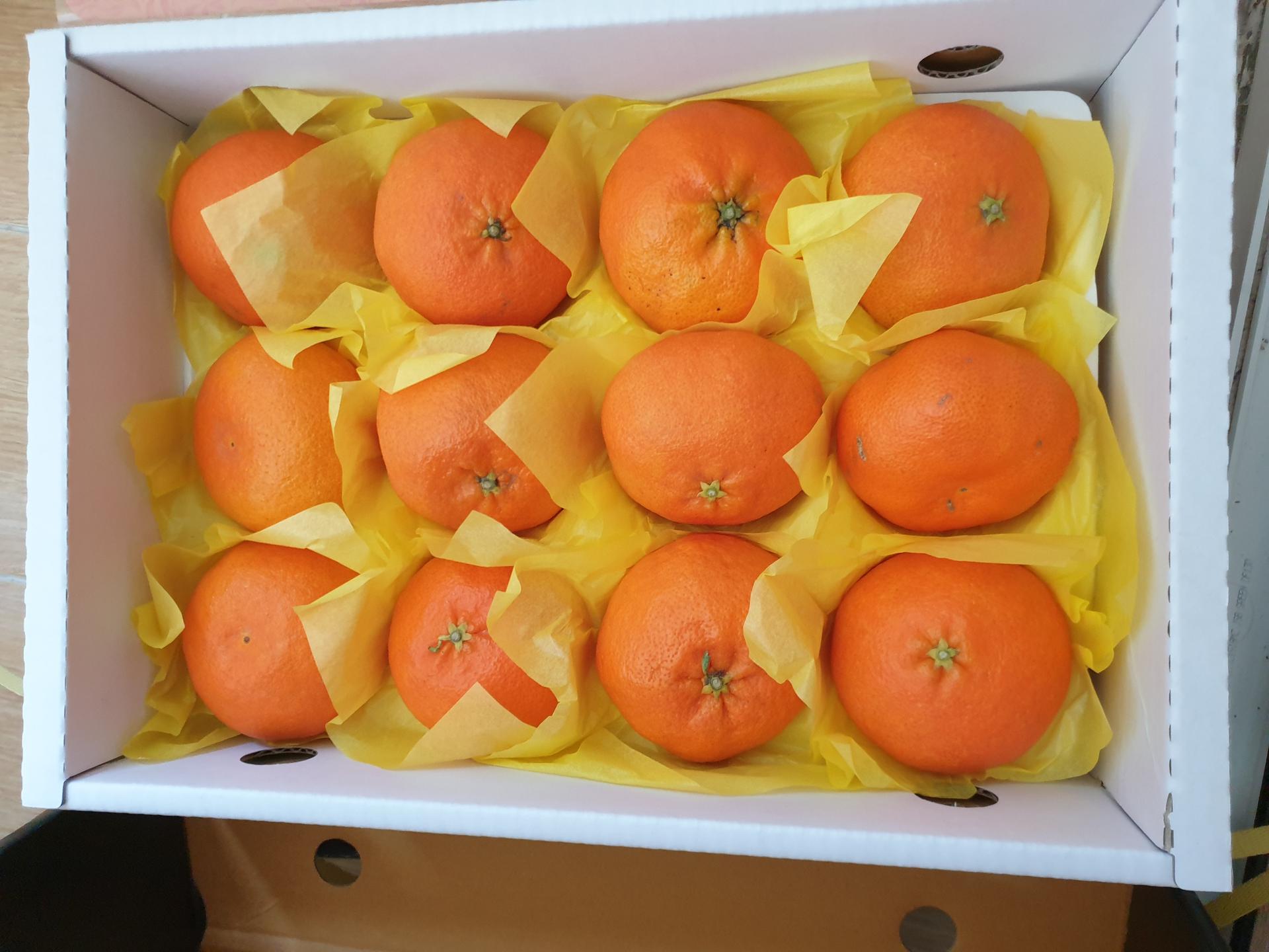 포토후기 이미지