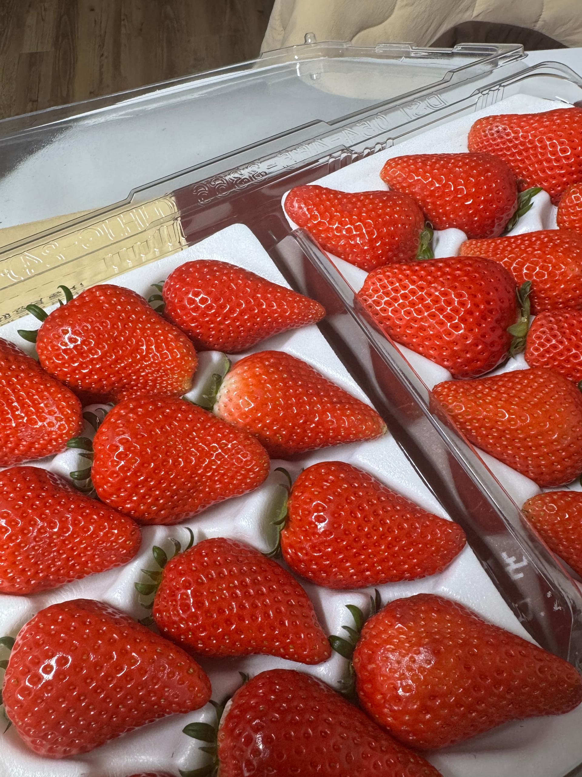 [수량한정] 논산 비타베리 800g/킹스베리 800g