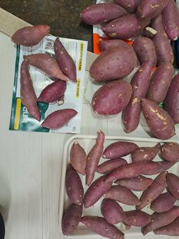 [EVENT] 무농약 김의준 꿀고구마 (대 3kg + 대/하 3kg) + 대 2kg 추가증정-2