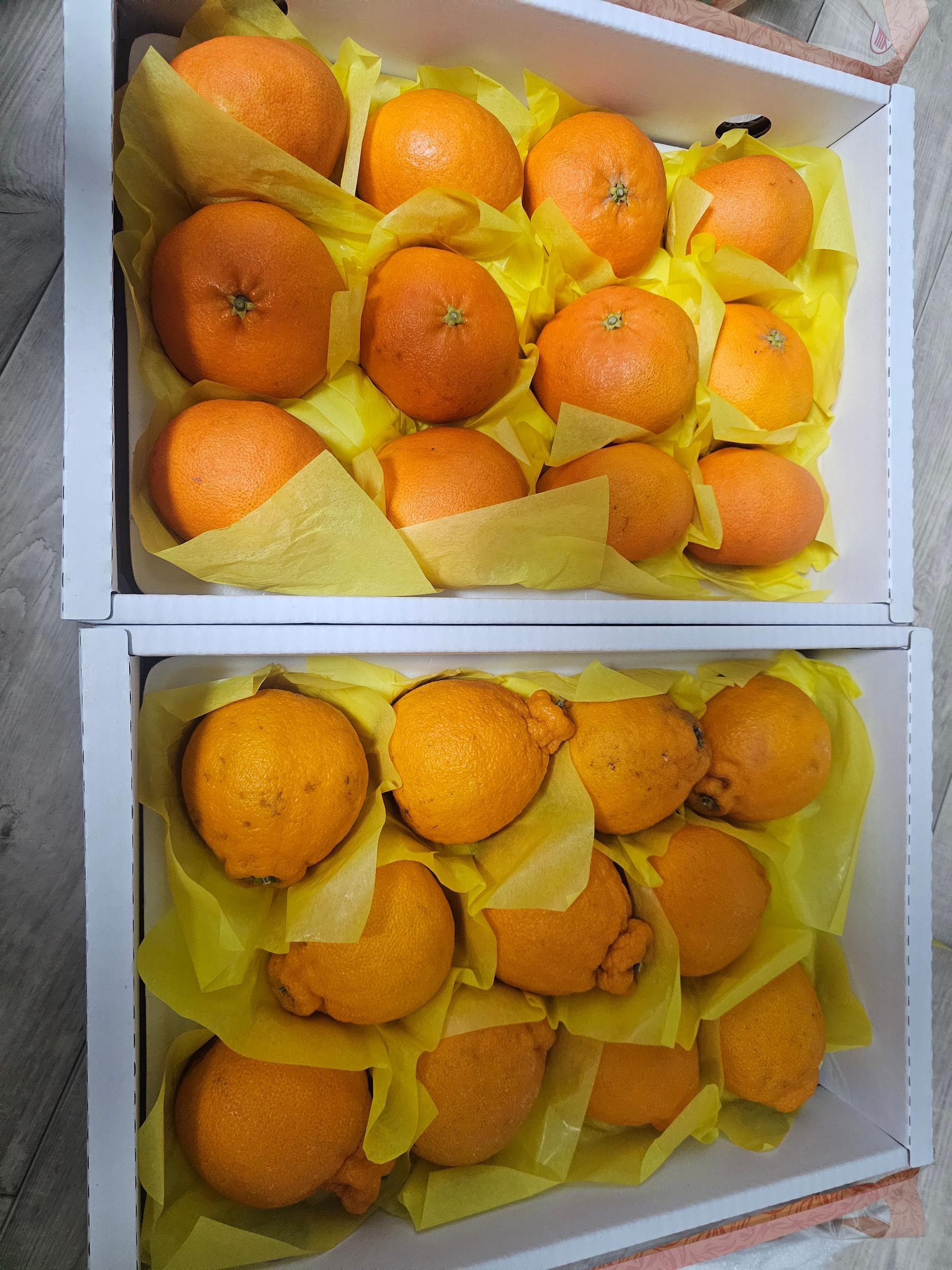 포토후기 이미지