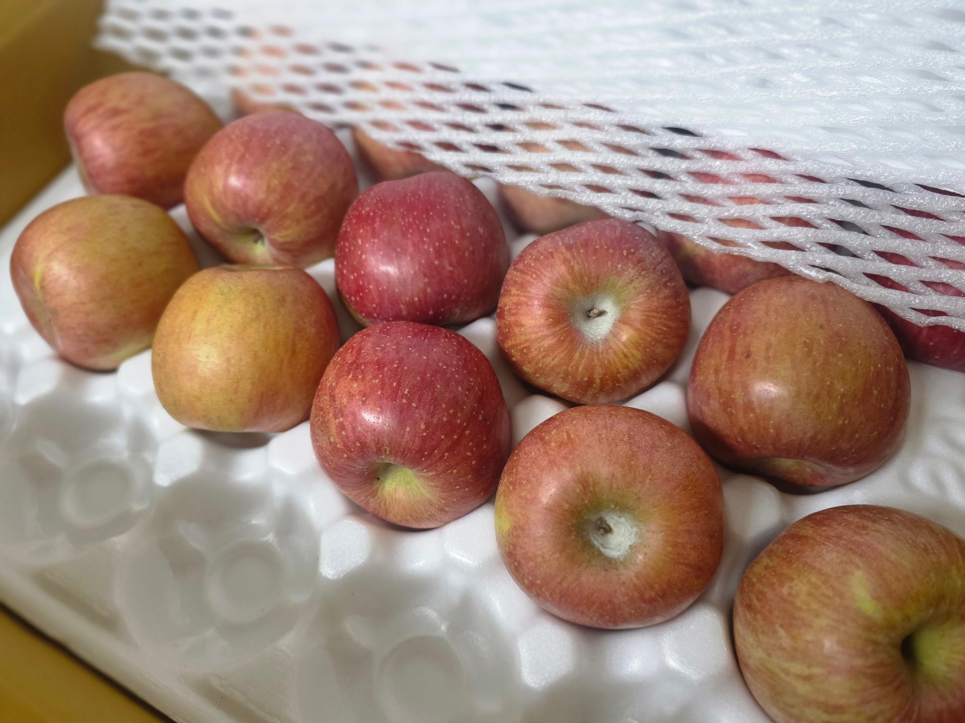 [EVENT ~ 2월 18일까지] 풍기농협 영주사과 3.5kg + 1kg 추가 증정