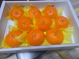 [2/11주문건부터 2/19부터 순차배송-선착순 1만명] 레드향 2.5kg + 천혜향 2.5kg-2