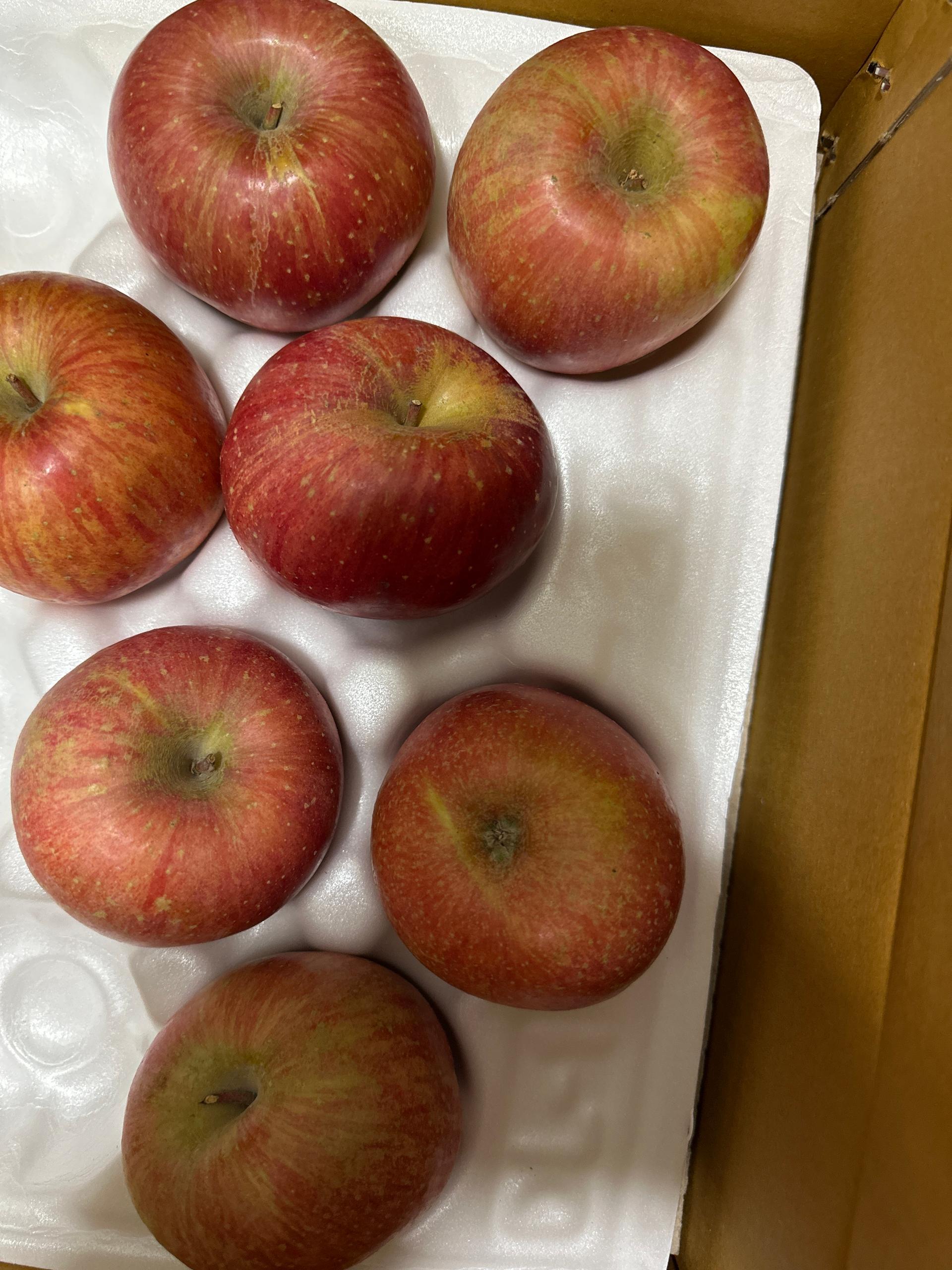 [EVENT ~ 2월 18일까지] 대경사과원예농협 영주사과 3kg 선물세트 + 1kg 추가 증정