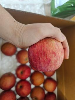 [EVENT ~ 2월 18일까지] 풍기농협 영주사과 3.5kg + 1kg 추가 증정-2
