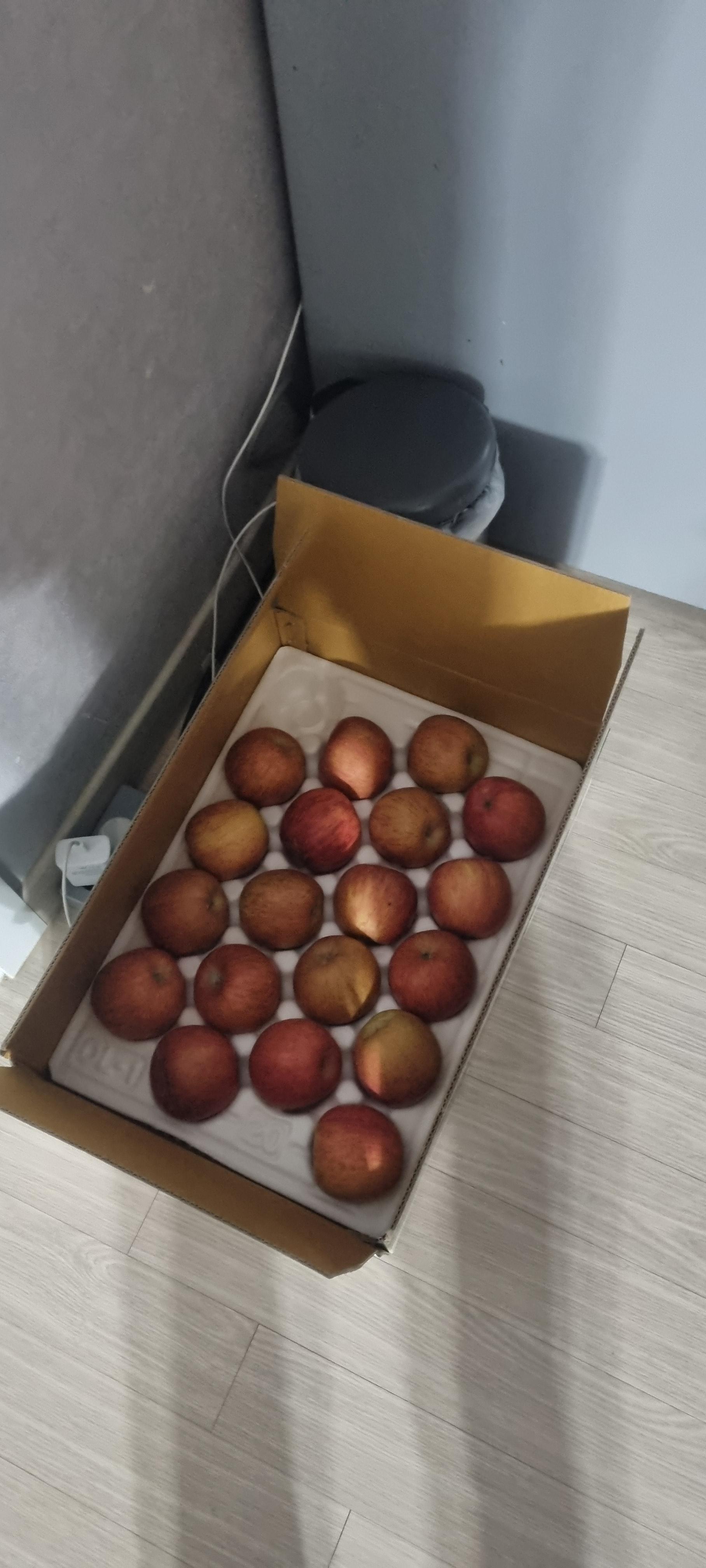 [EVENT ~ 2월 18일까지] 풍기농협 영주사과 3.5kg + 1kg 추가 증정