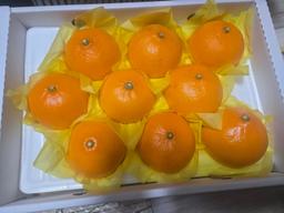 [2/11주문건부터 2/19부터 순차배송-선착순 1만명] 레드향 2.5kg + 천혜향 2.5kg-1