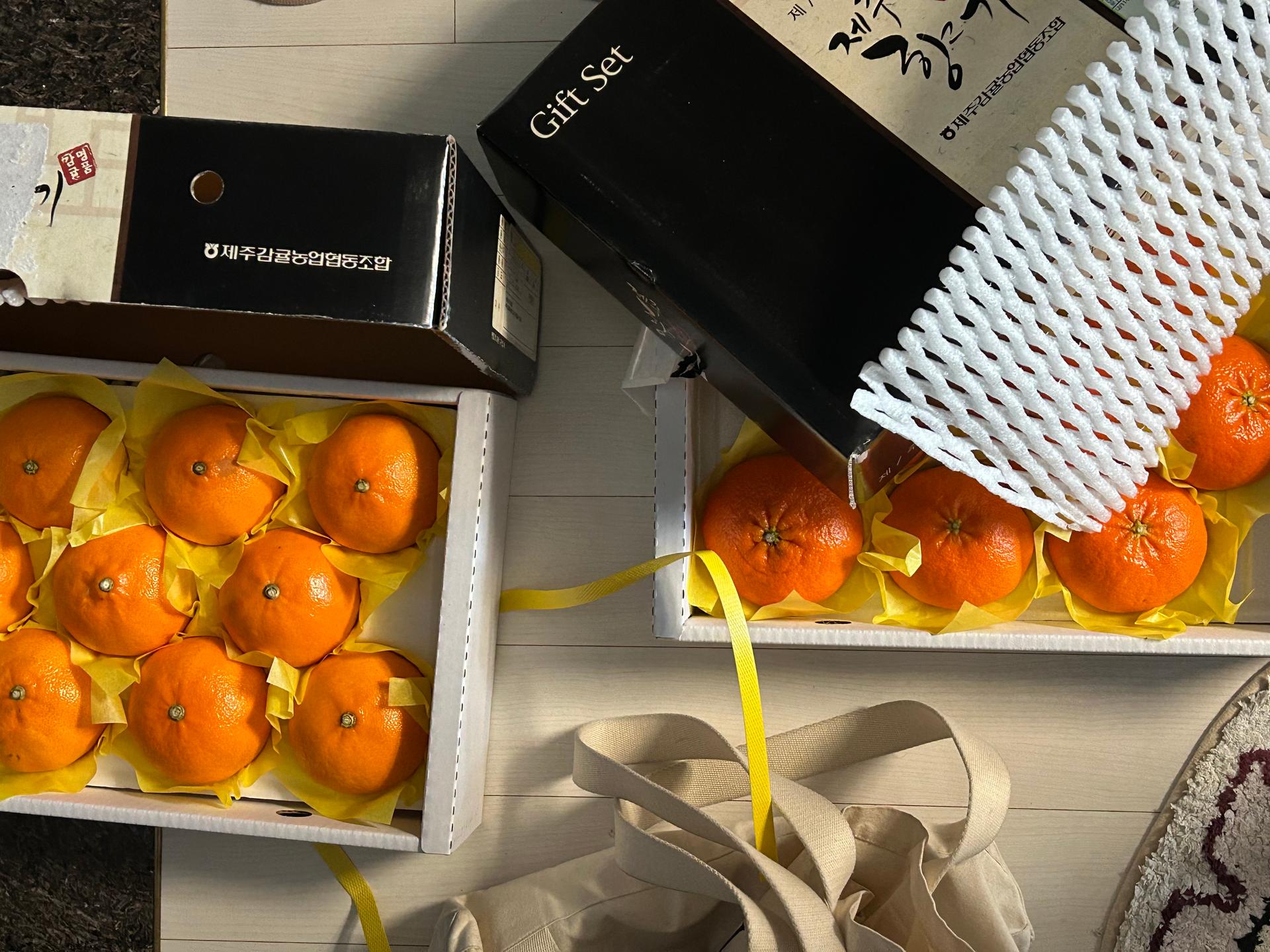 포토후기 이미지