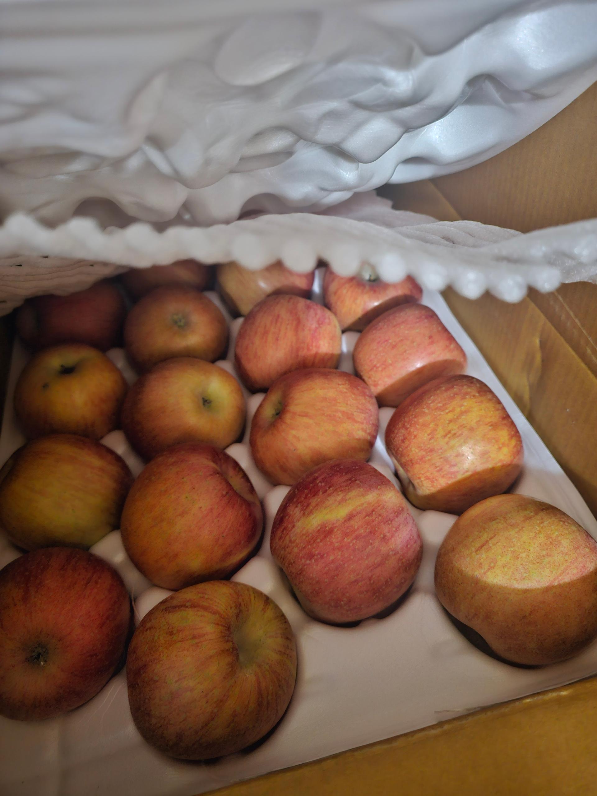 [EVENT ~ 2월 18일까지] 풍기농협 영주사과 3.5kg + 1kg 추가 증정