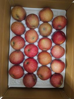 [EVENT ~ 2월 18일까지] 풍기농협 영주사과 3.5kg + 1kg 추가 증정-1