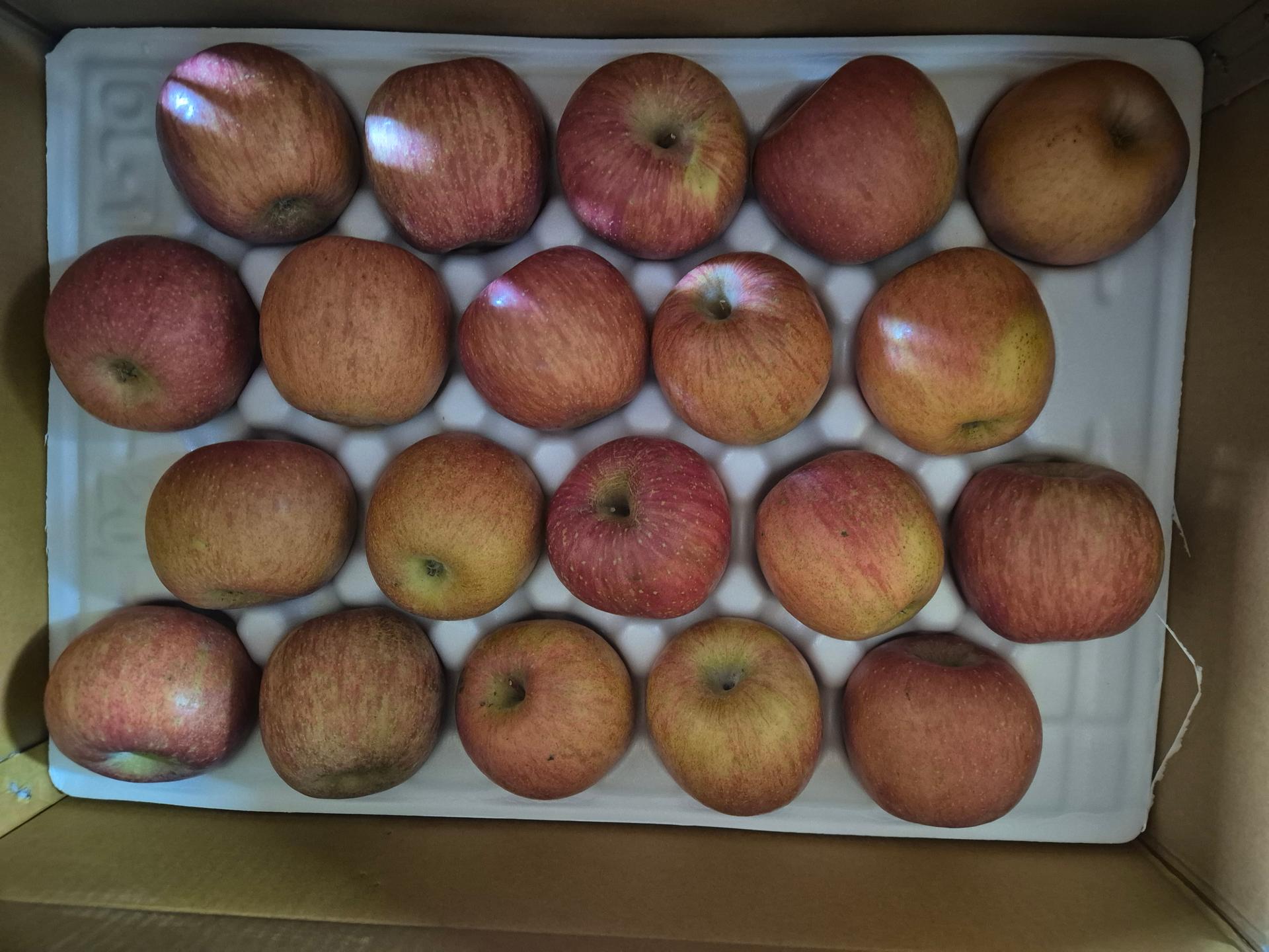 [EVENT ~ 2월 18일까지] 풍기농협 영주사과 3.5kg + 1kg 추가 증정