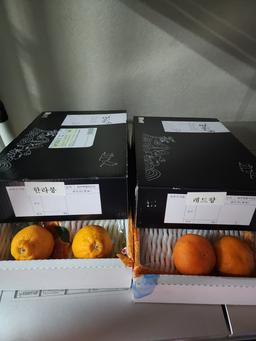 [선착순 1만명] 레드향 2.5kg + 한라봉 2.5kg-1