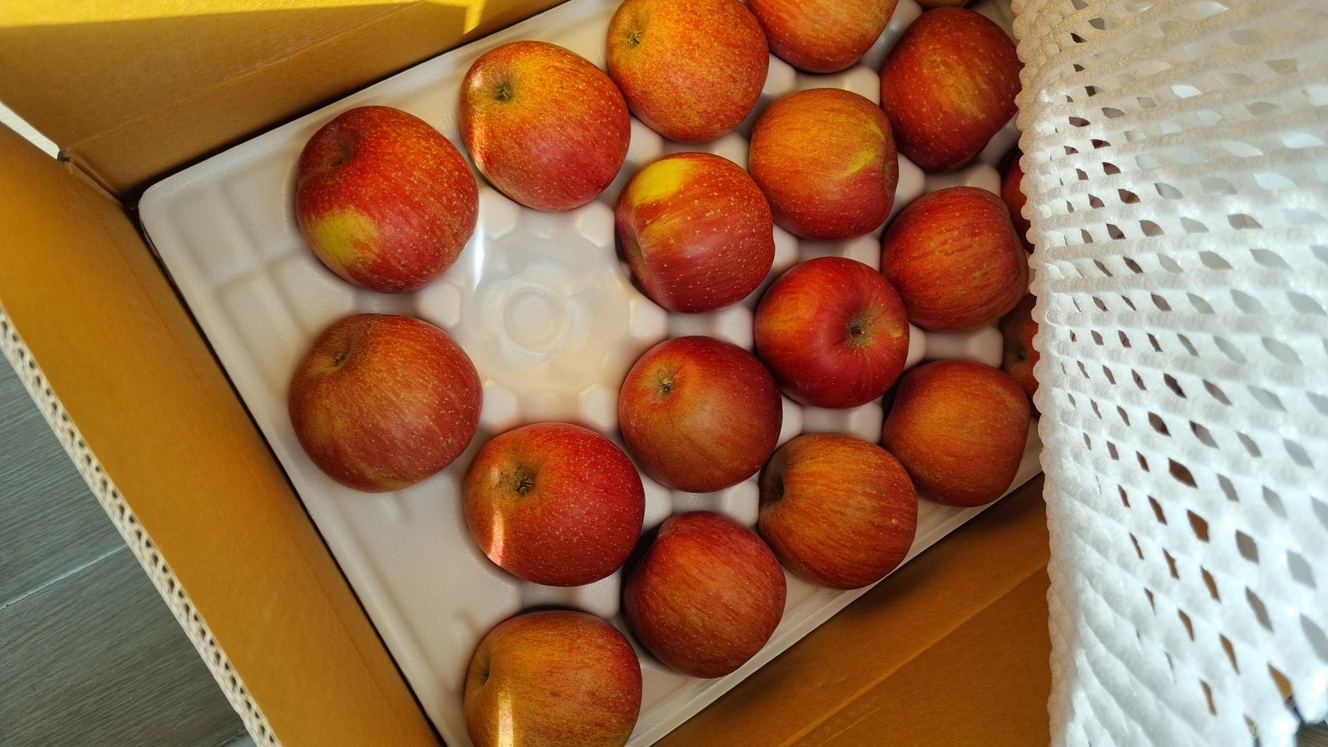 [EVENT ~ 2월 18일까지] 풍기농협 영주사과 3.5kg + 1kg 추가 증정