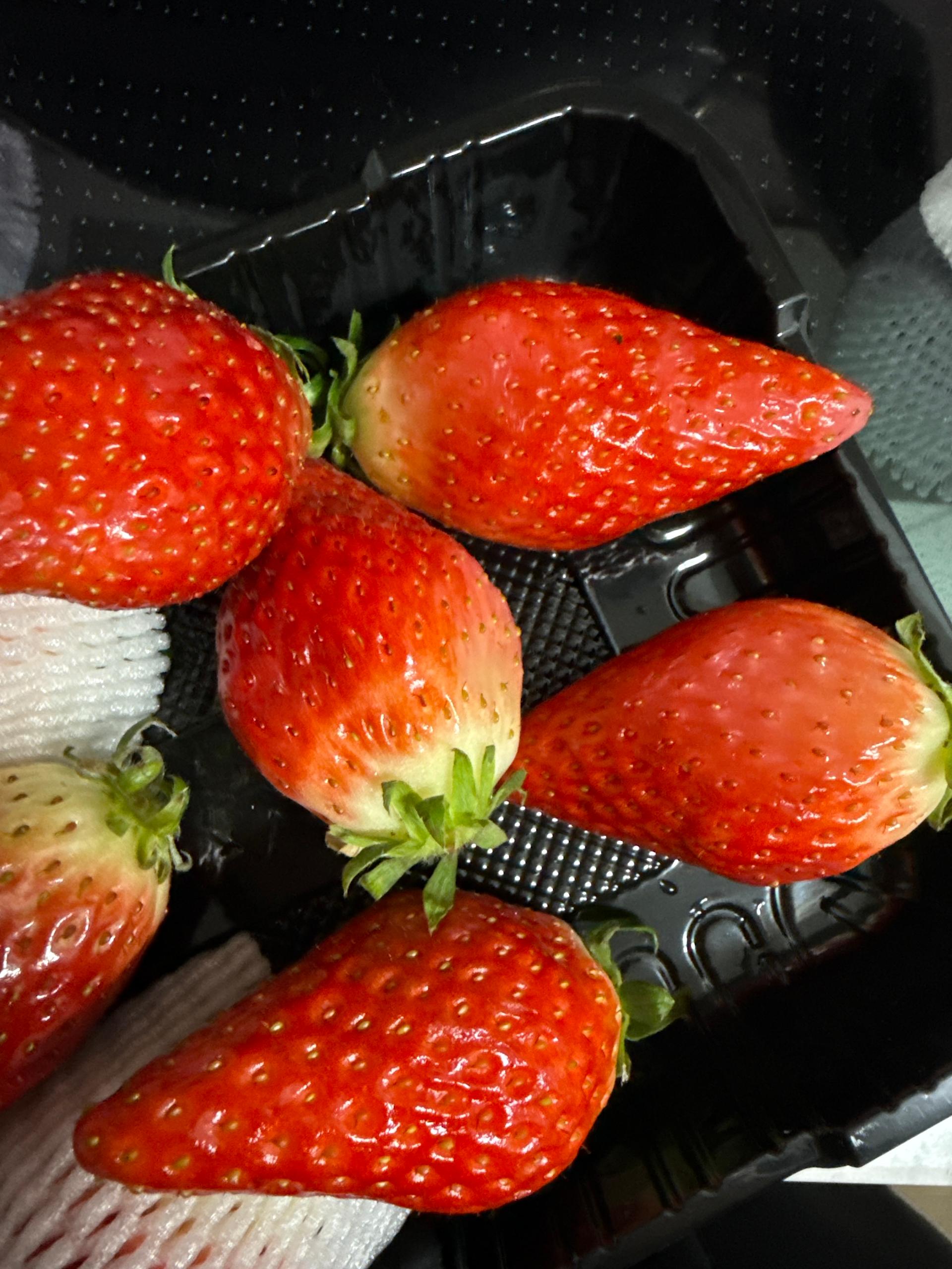 포토후기 이미지