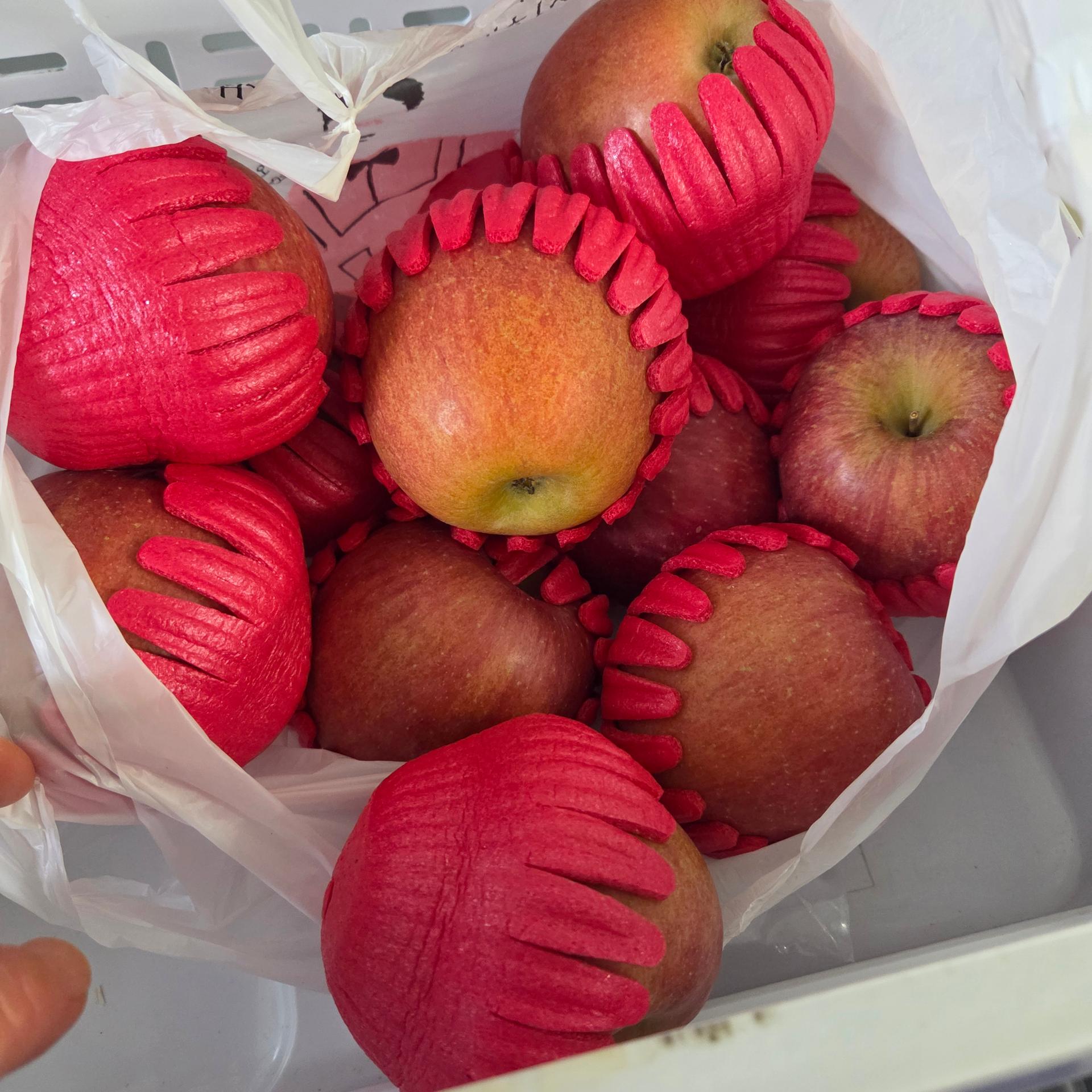 포토후기 이미지