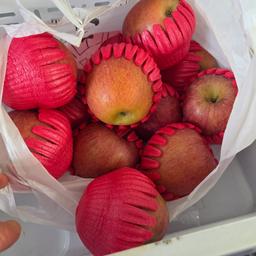 [선물용] 무주 반딧불 부사 3kg(12과)-1