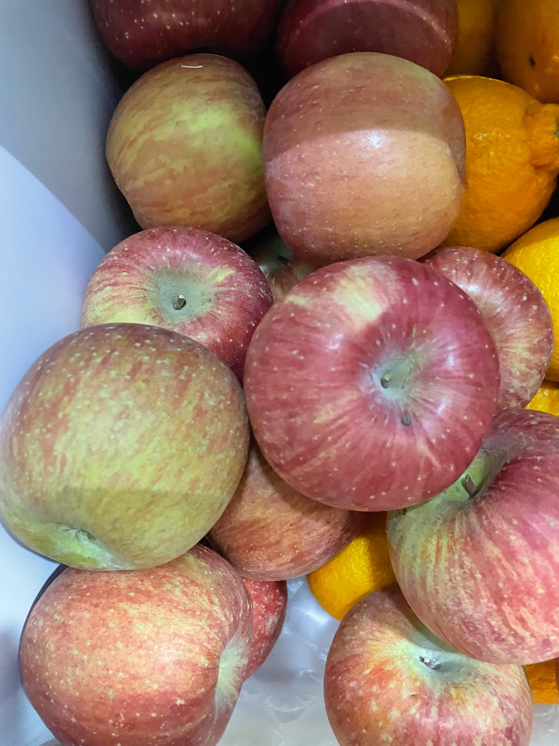 포토후기 이미지