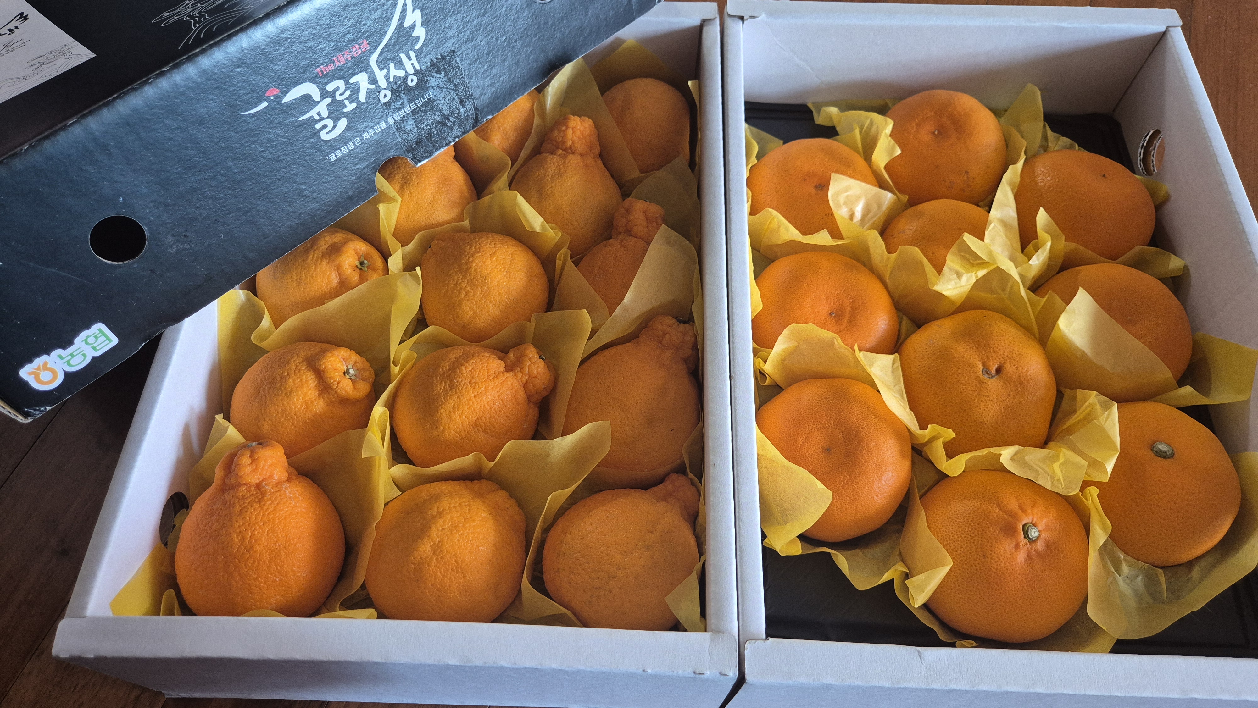 포토후기 이미지