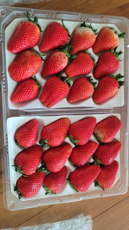 [수량한정] 논산 비타베리 800g/킹스베리 800g-1