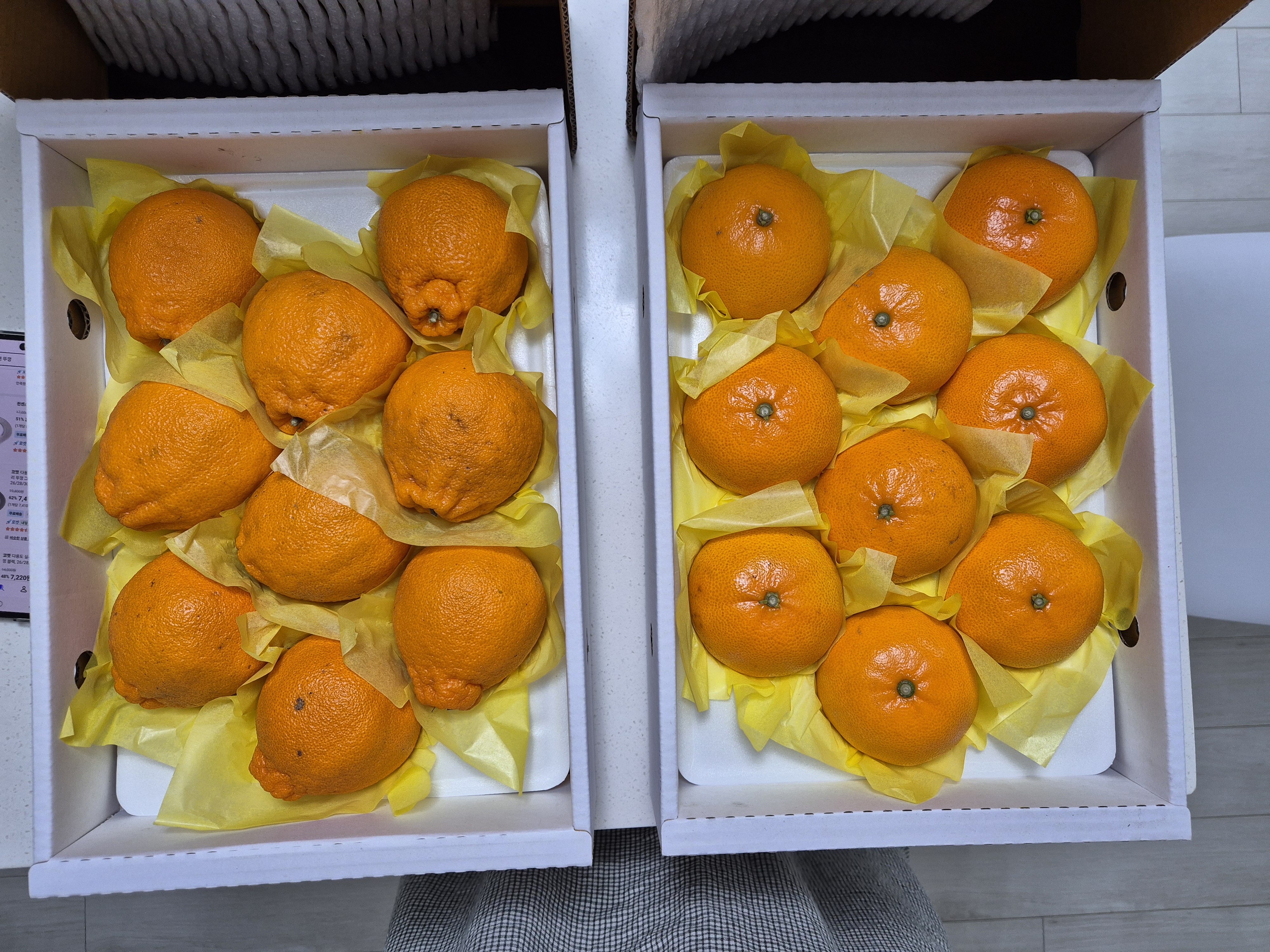 [선착순 1만명] 한라봉 2.5kg + 천혜향 2.5kg