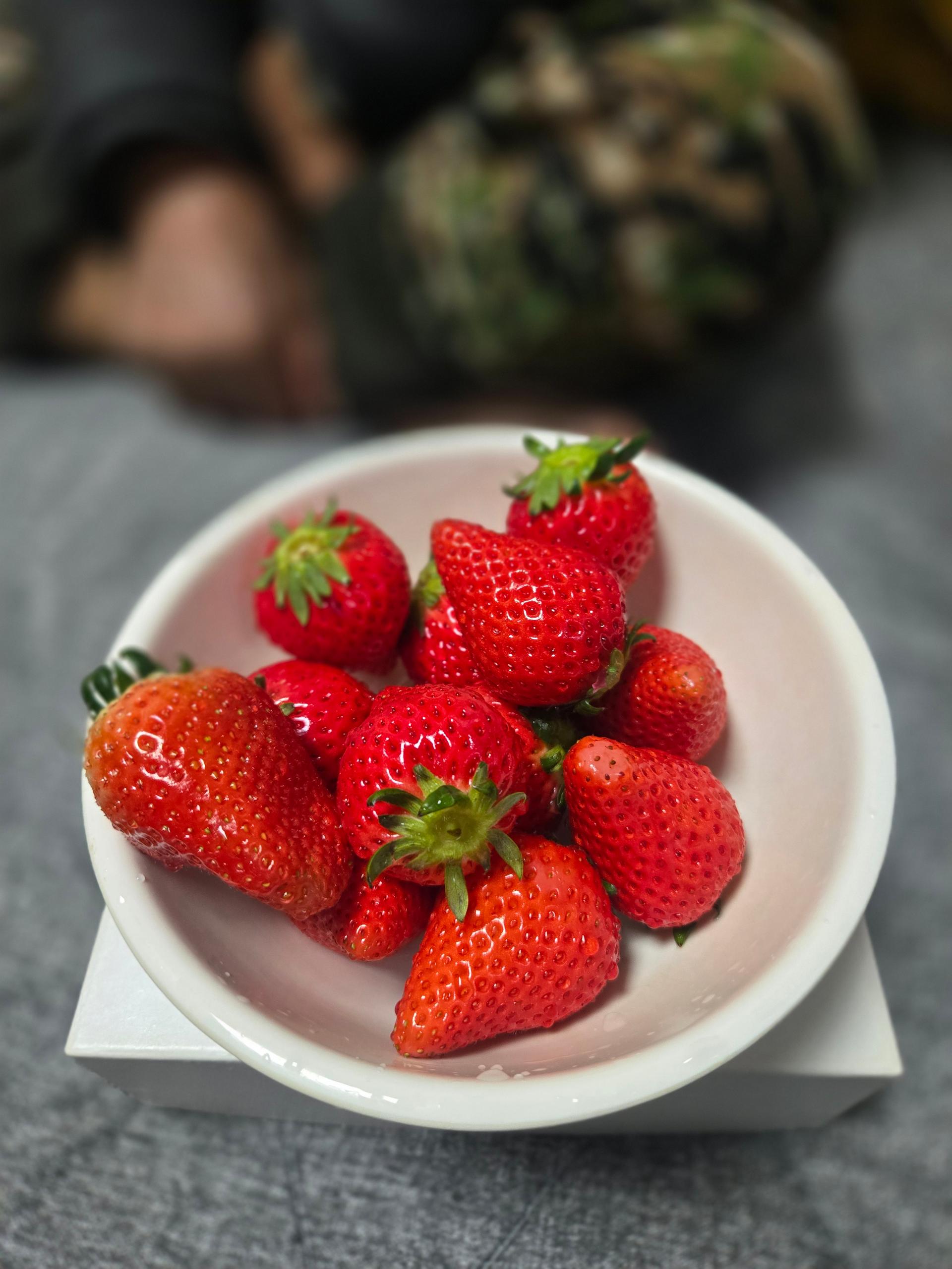 포토후기 이미지