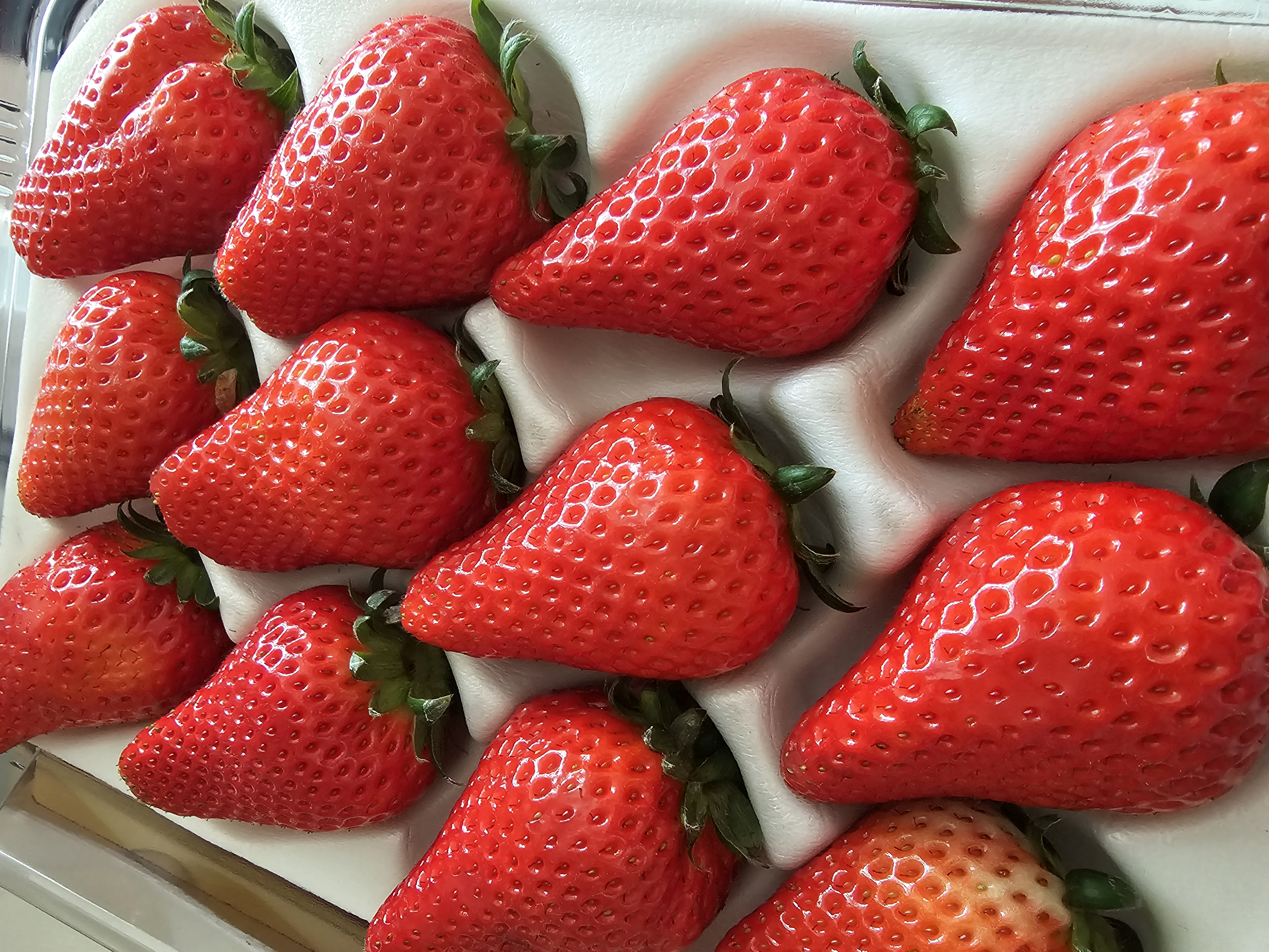 포토후기 이미지