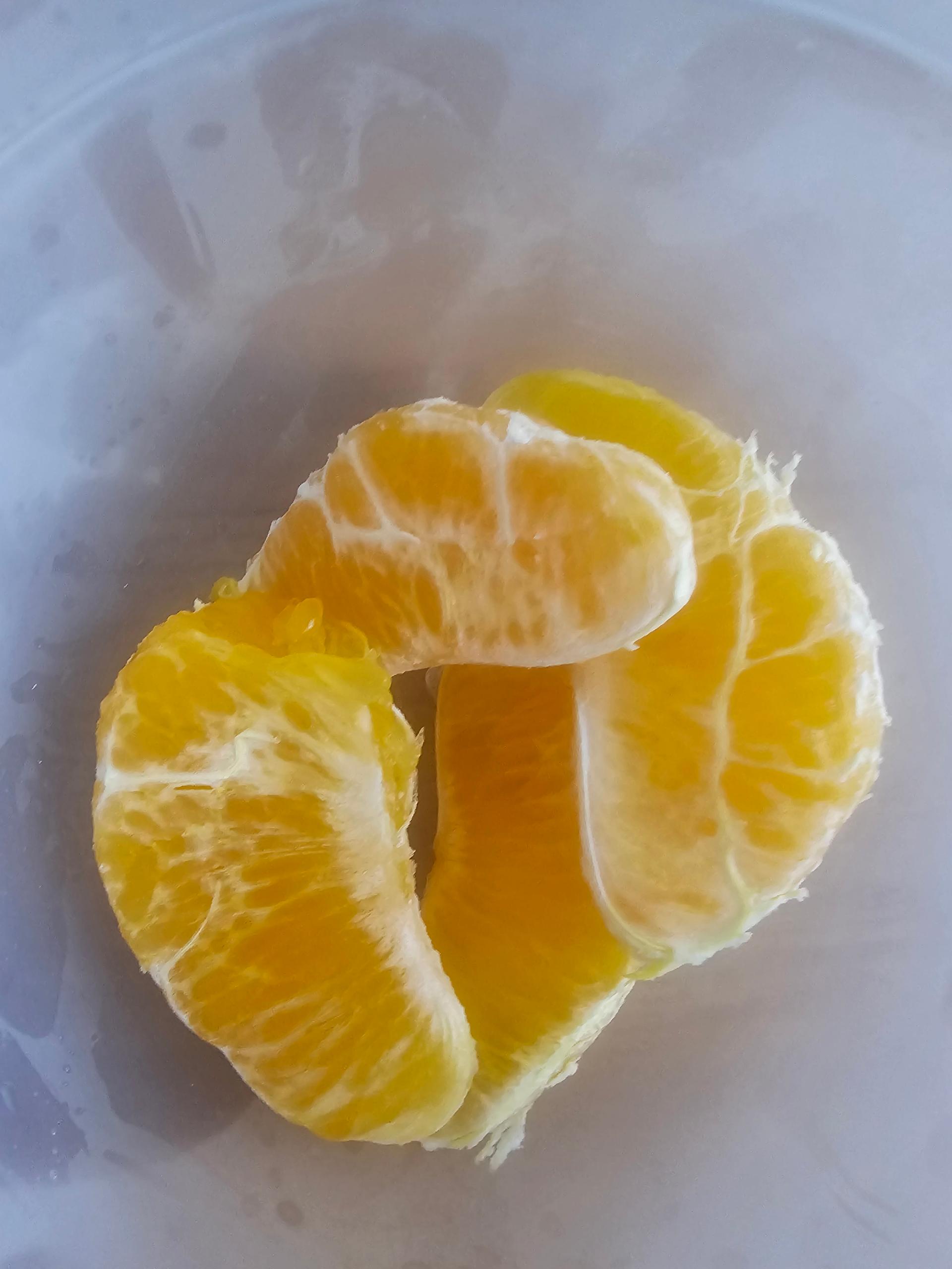 [선착순 1만명] 한라봉 2.5kg + 천혜향 2.5kg