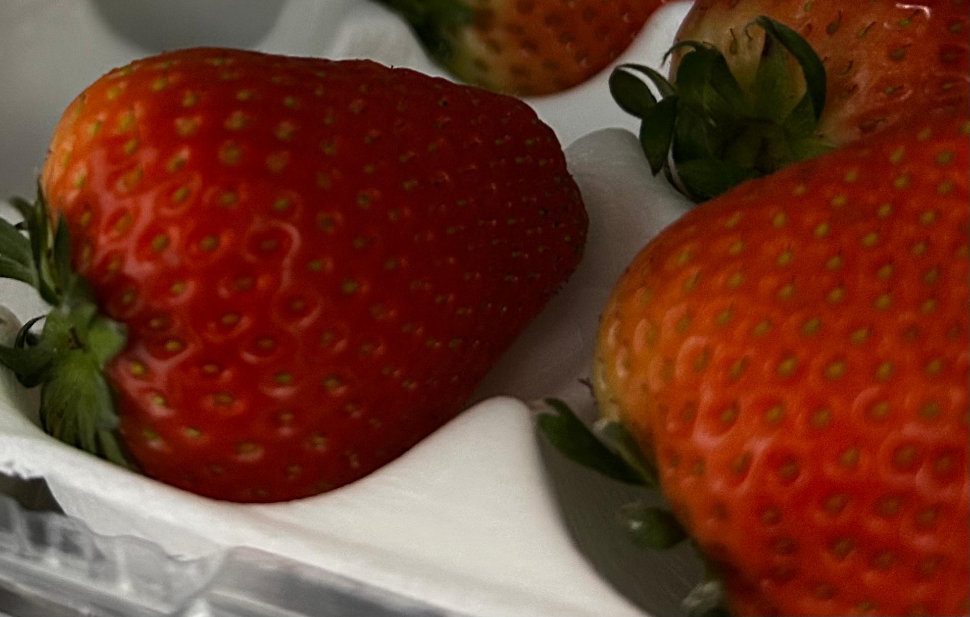 포토후기 이미지