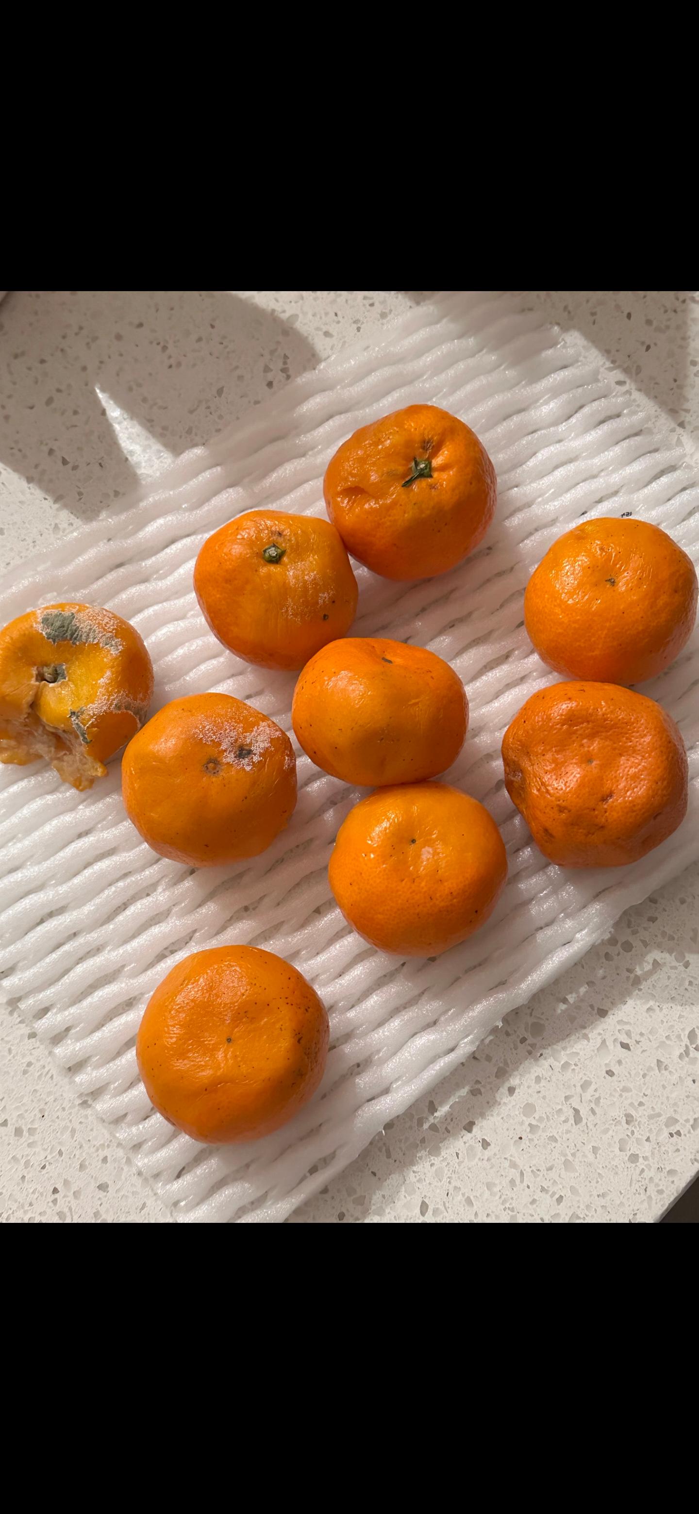 포토후기 이미지