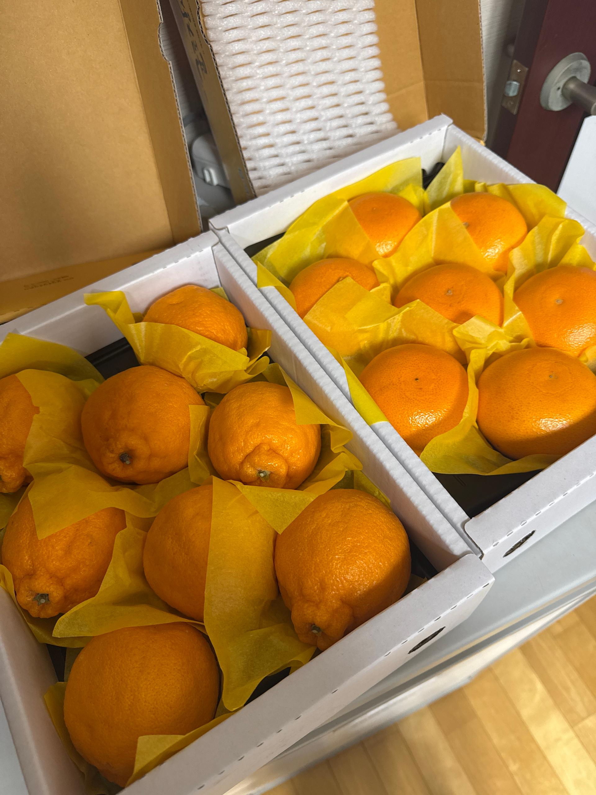 포토후기 이미지