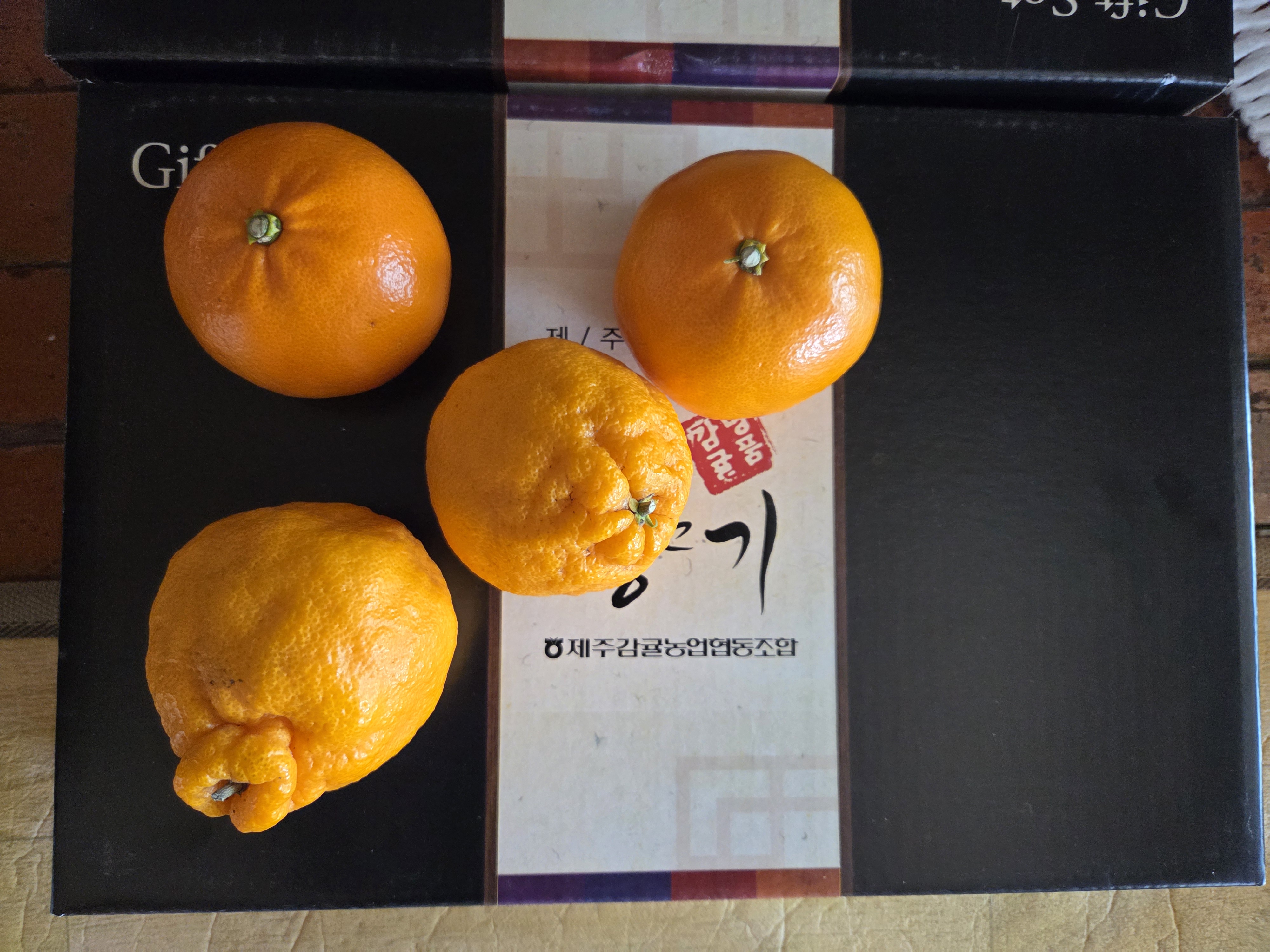 [선착순 1만명] 한라봉 2.5kg + 천혜향 2.5kg