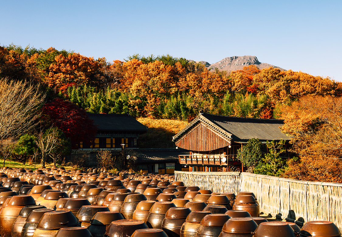 지자체 히어로 이미지