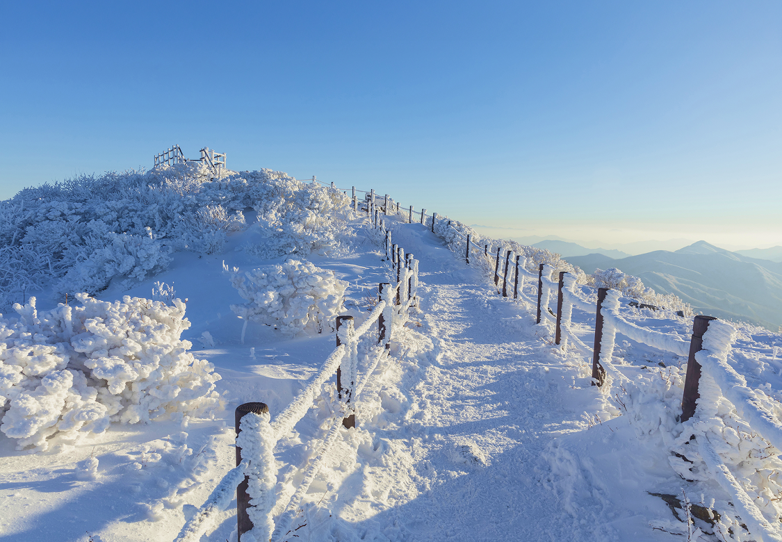 지자체 히어로 이미지