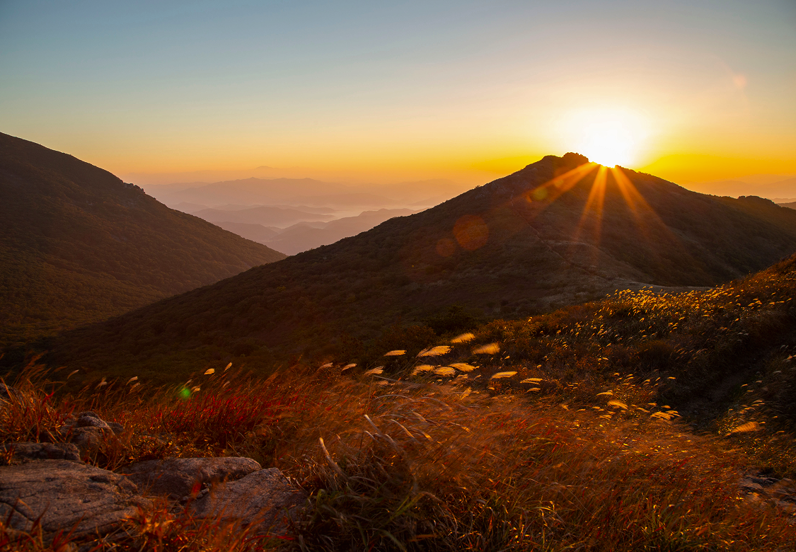 지자체 히어로 이미지