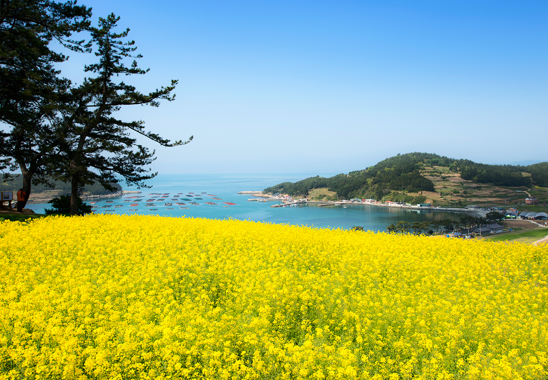 지자체 히어로 이미지