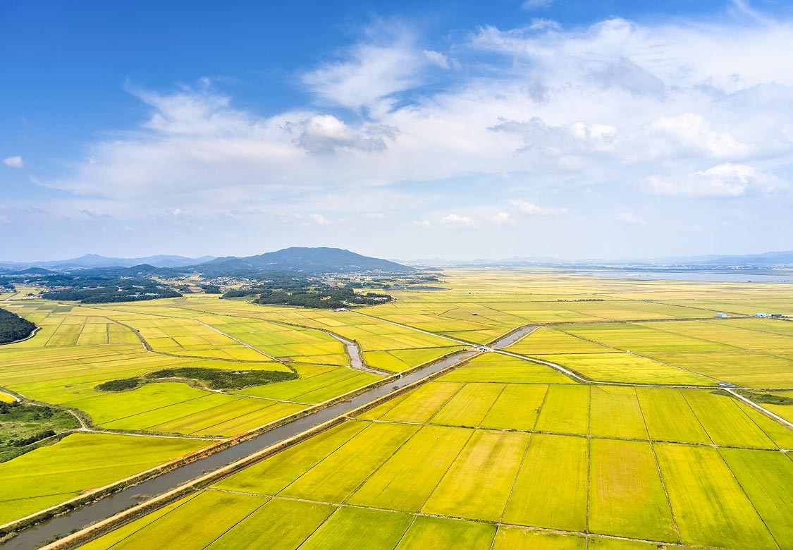 지자체 히어로 이미지