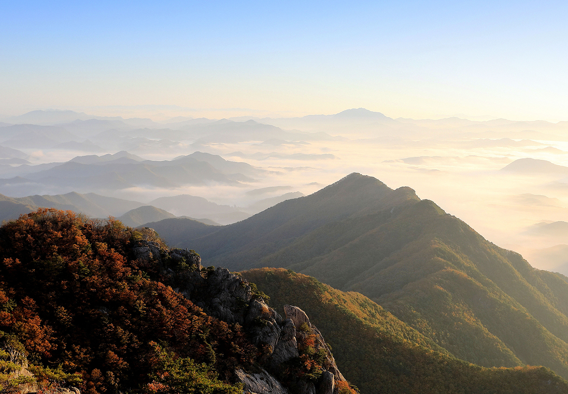 지자체 히어로 이미지