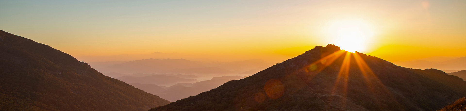 지자체 히어로 이미지