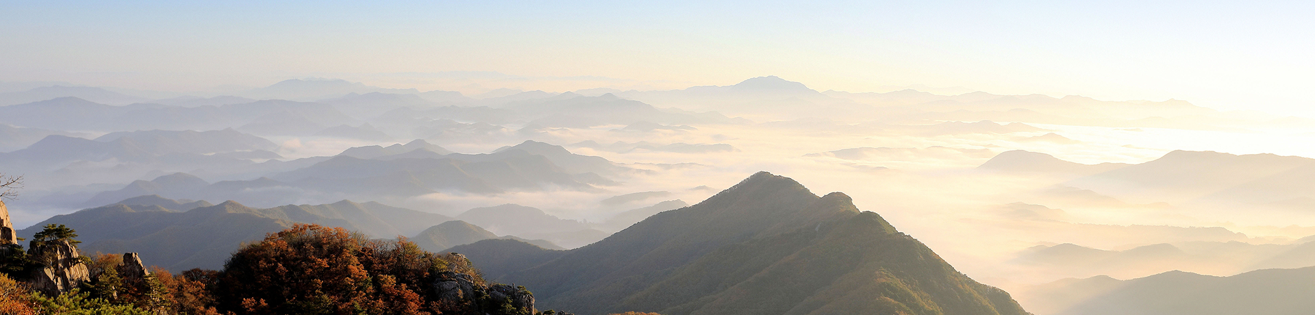 지자체 히어로 이미지