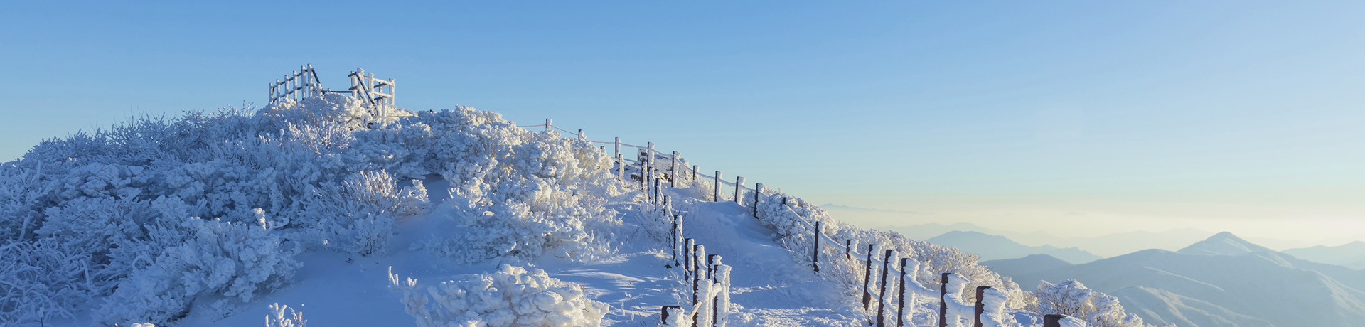 지자체 히어로 이미지
