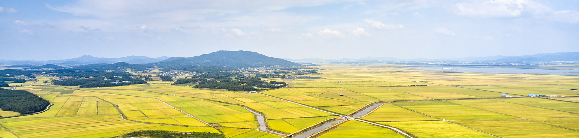 지자체 히어로 이미지